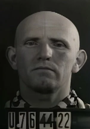 Dávid Adler