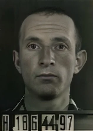 Marton Davidovits