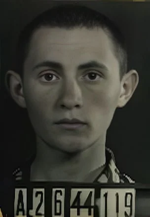 Majer Einhorn