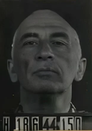 Moritz Fenichel