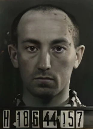 Armin Finkelstein