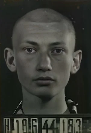 Henrik Fried