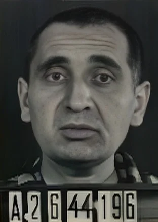 Jozsef Fried