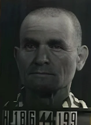 Jozsef Friedman