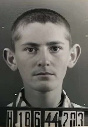Miklos Friedmann