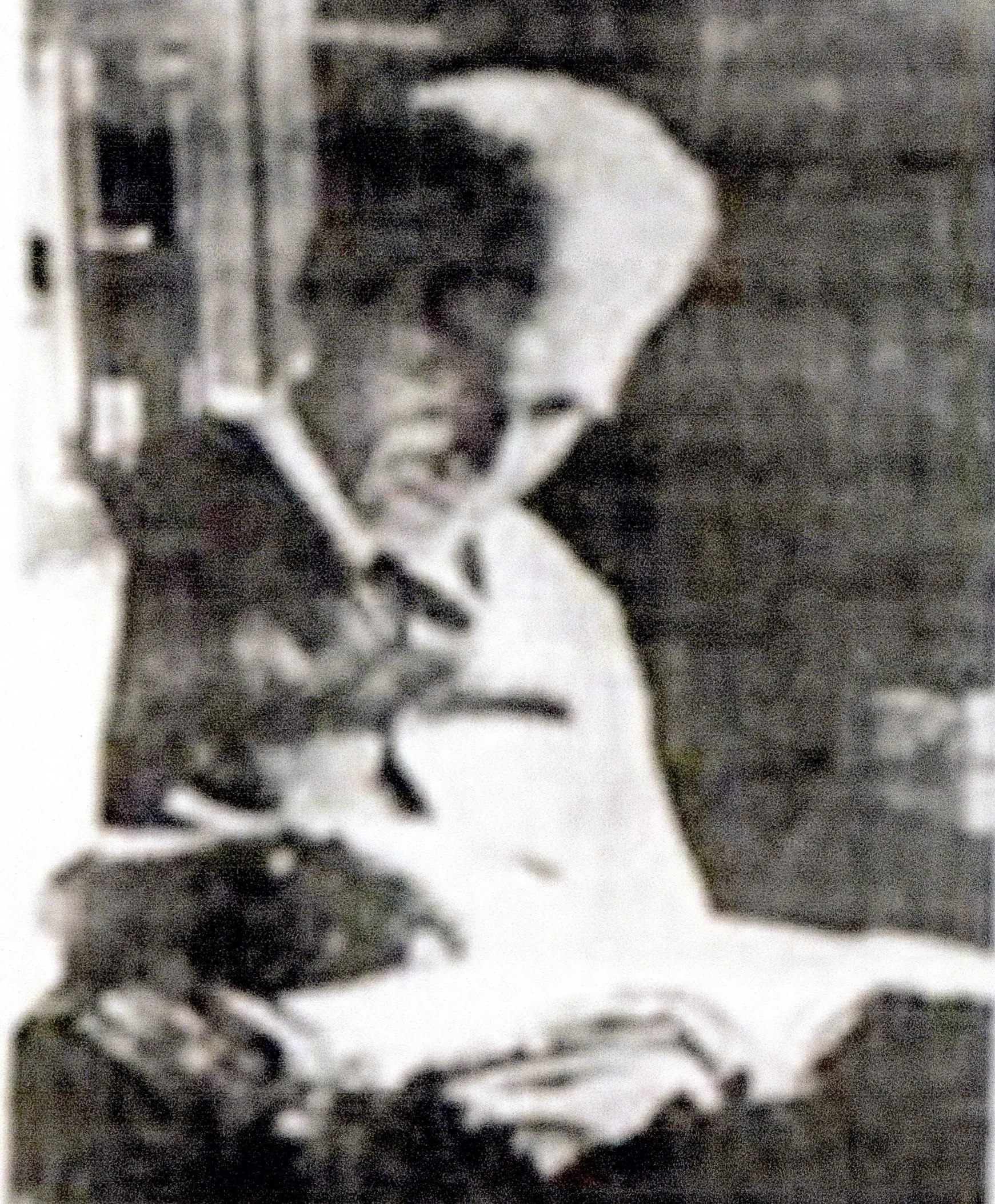 Siegfried Fürst