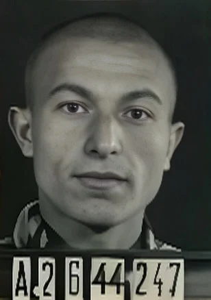 David Gelberman