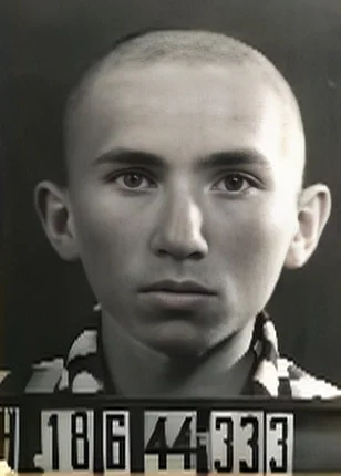 Samu Herskovits