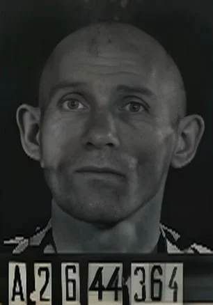 Majer Hollender