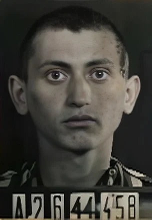 Béla Klein