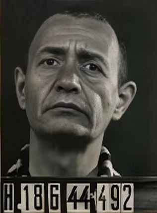 Márton Kohn