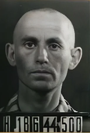 David Kornhauser