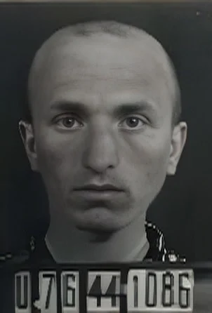 Hers Lázárovits