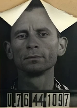 Hermán Lebovics