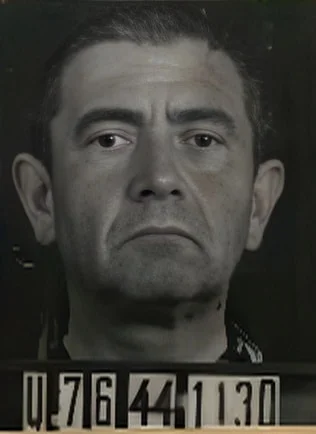 Bela Lefkovits
