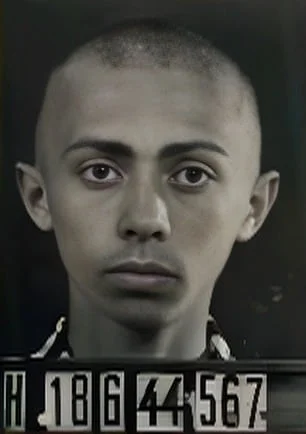 Ráfáel Lövinger