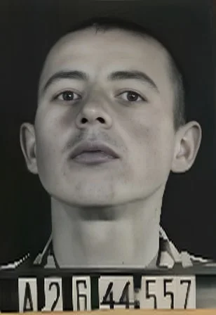 József Majer