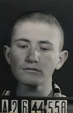 Hermann Majerovic