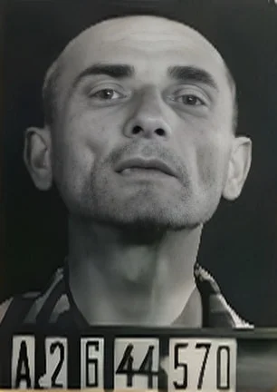 Kálmán Mandel