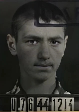 Herman Malek
