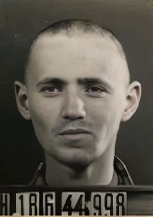 David Mermelstein