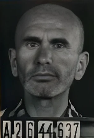 Béla Perl