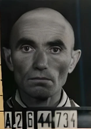 Jozsef Rothstein