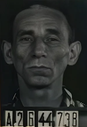 Salamon Rozenberg