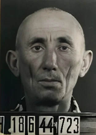 Elek Rozenfeld