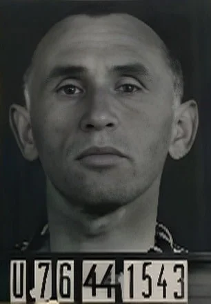 József Sándor