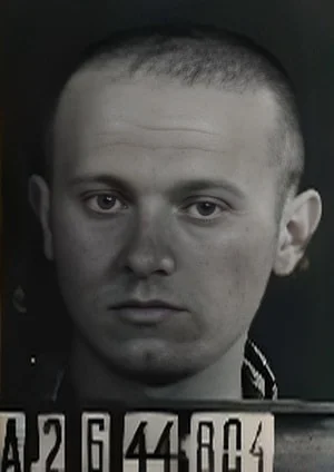 József Schipper