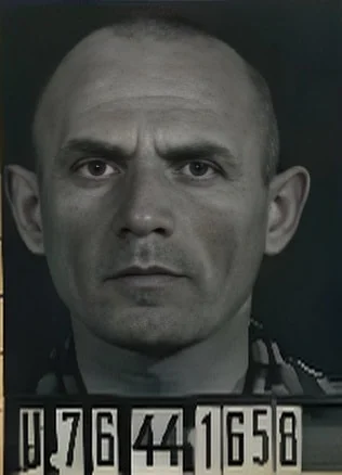 Leo Schmiedmajer