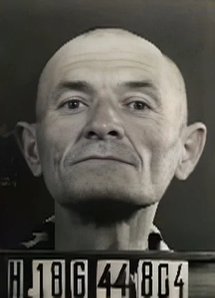 David Scheer
