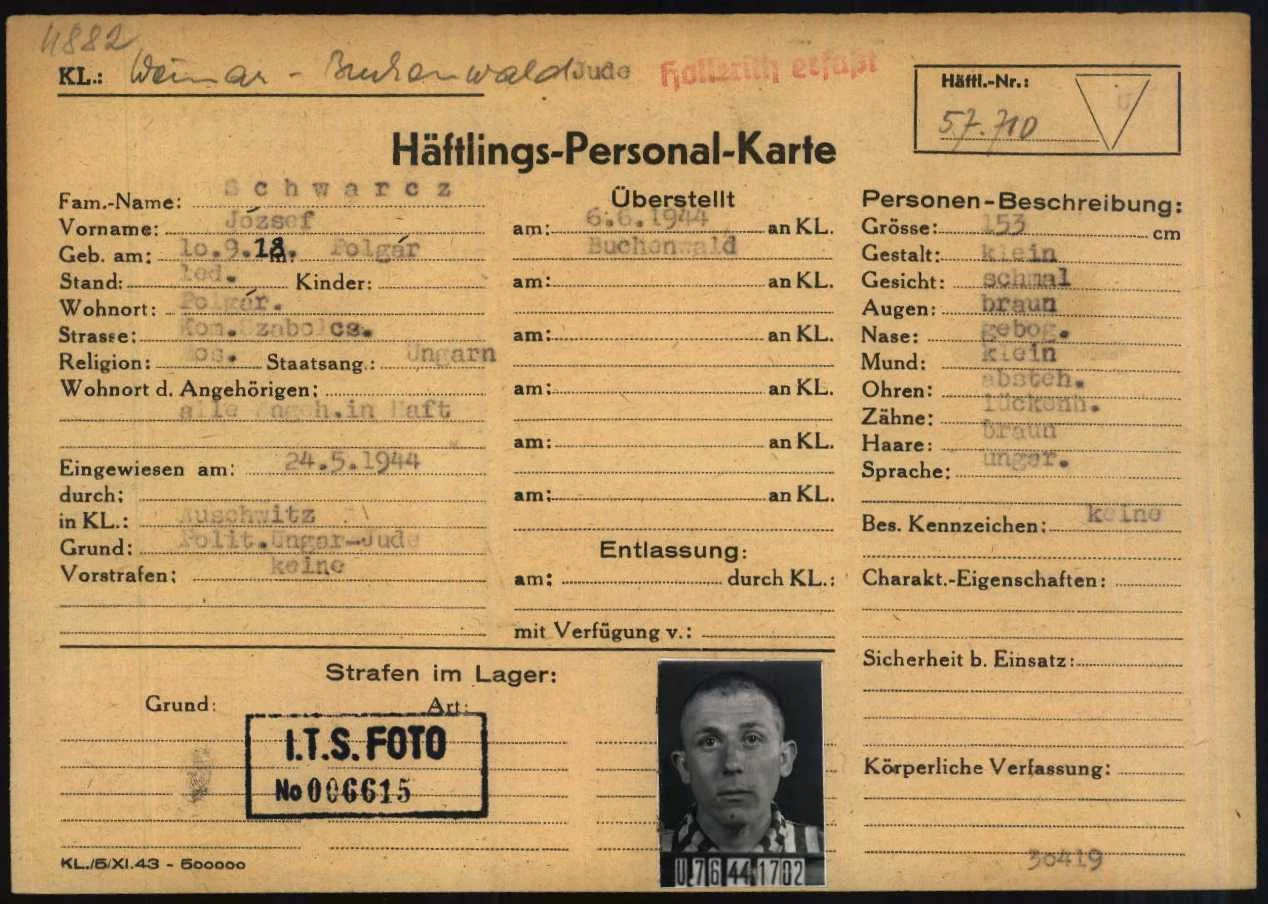 József Schwarcz