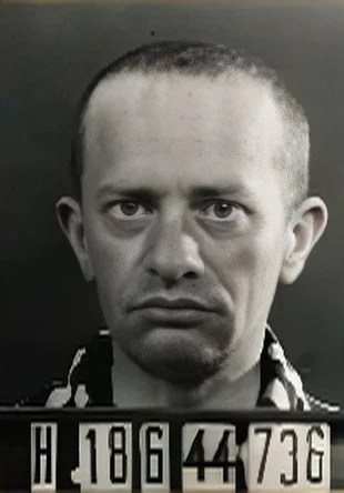 József Selczer