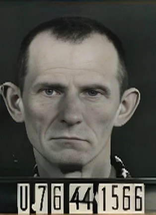 Gutman Simonovicz