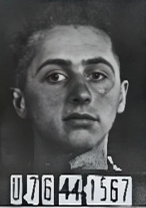 Mendel Simonovics