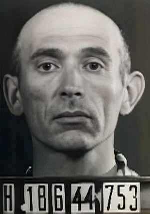 Andor Steiner