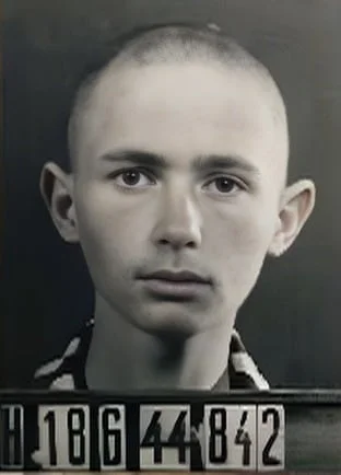 György Stein