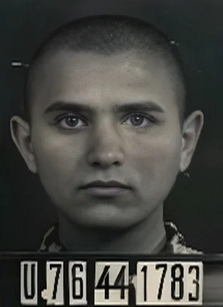 Miklós Taub