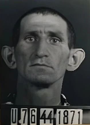 Hermán Weinberger