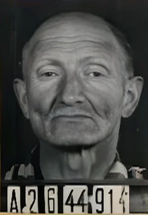 Wolf Wiesel