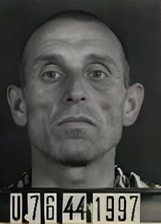 Farkas Zola-Bermán