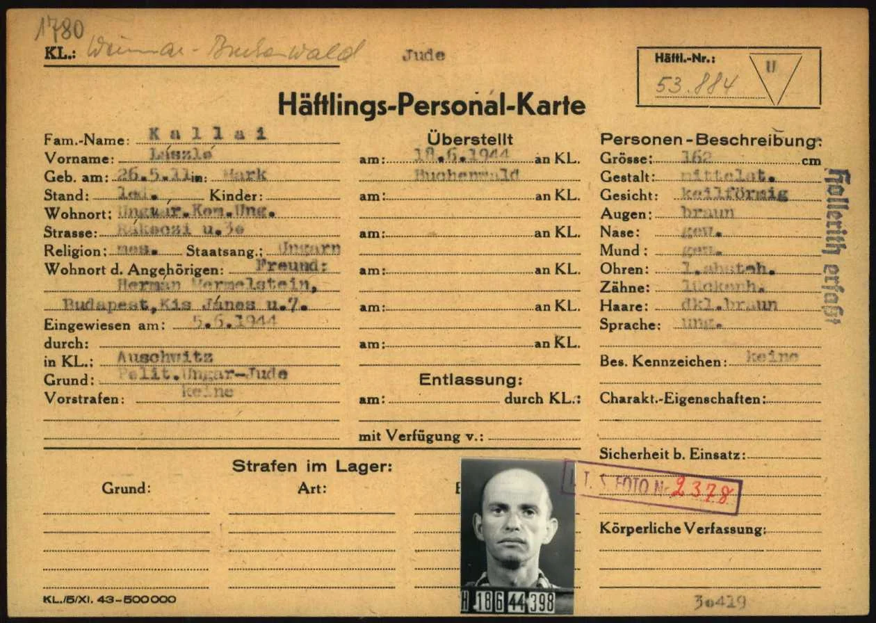 László Kallai