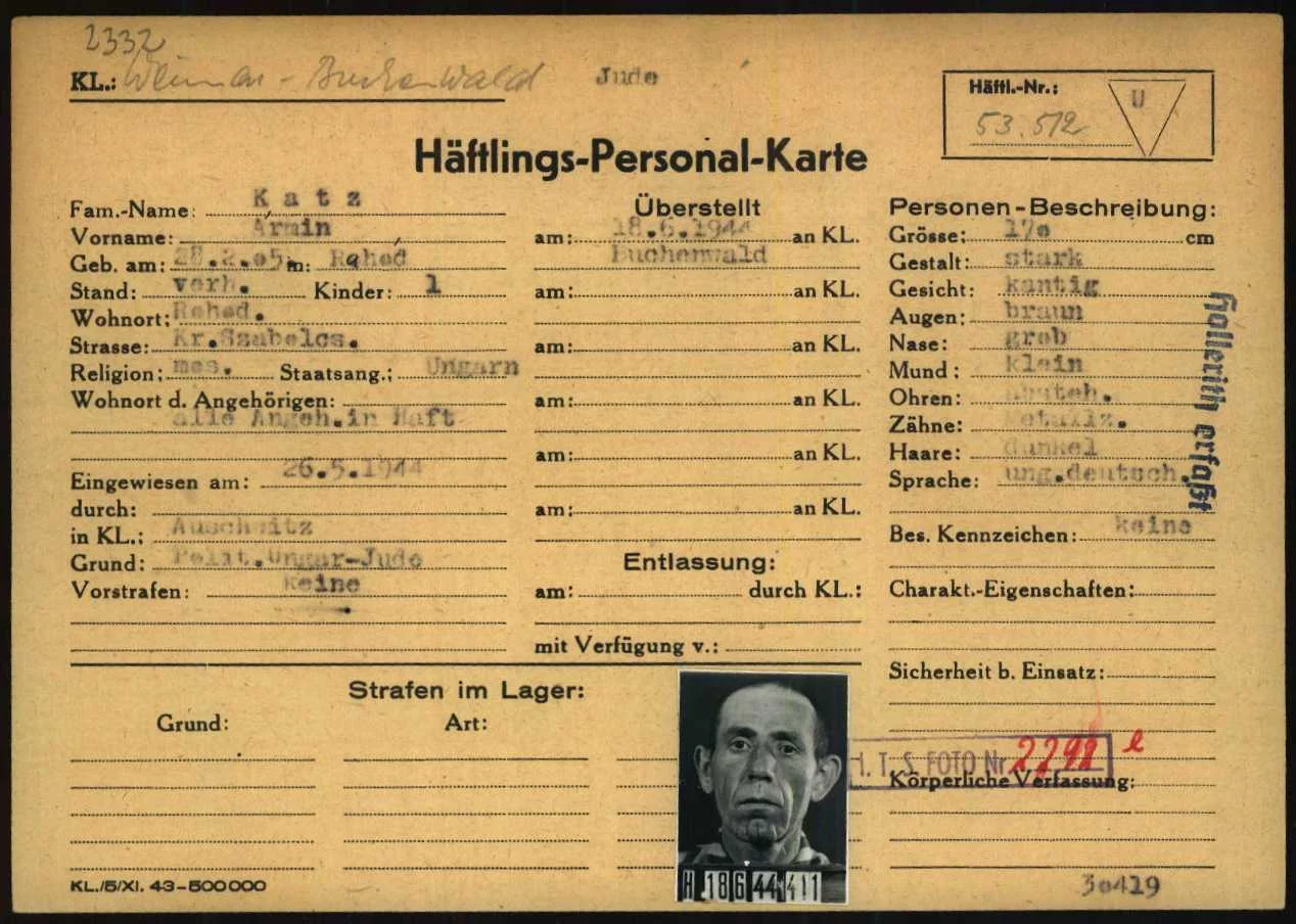 Ármin Katz
