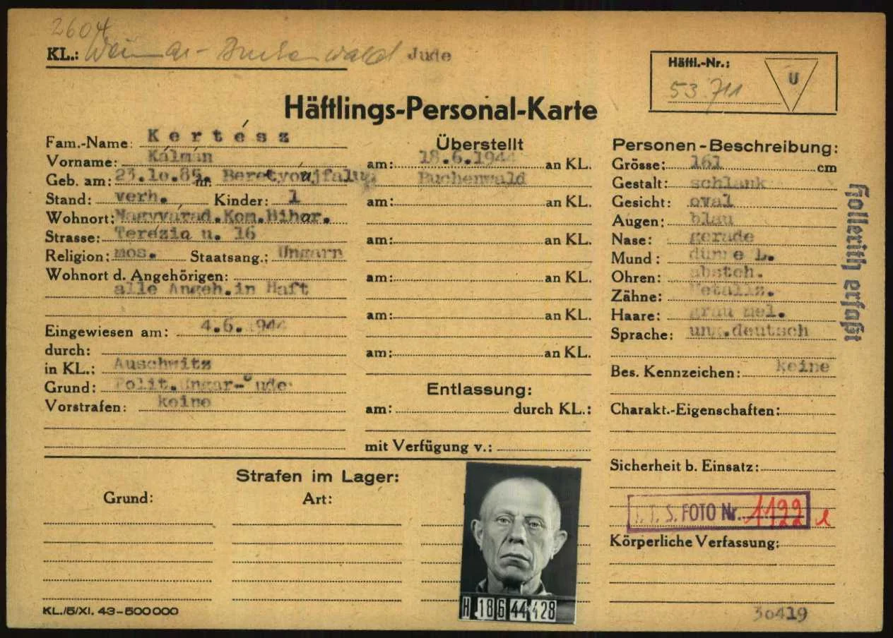 Kálmán Kertész