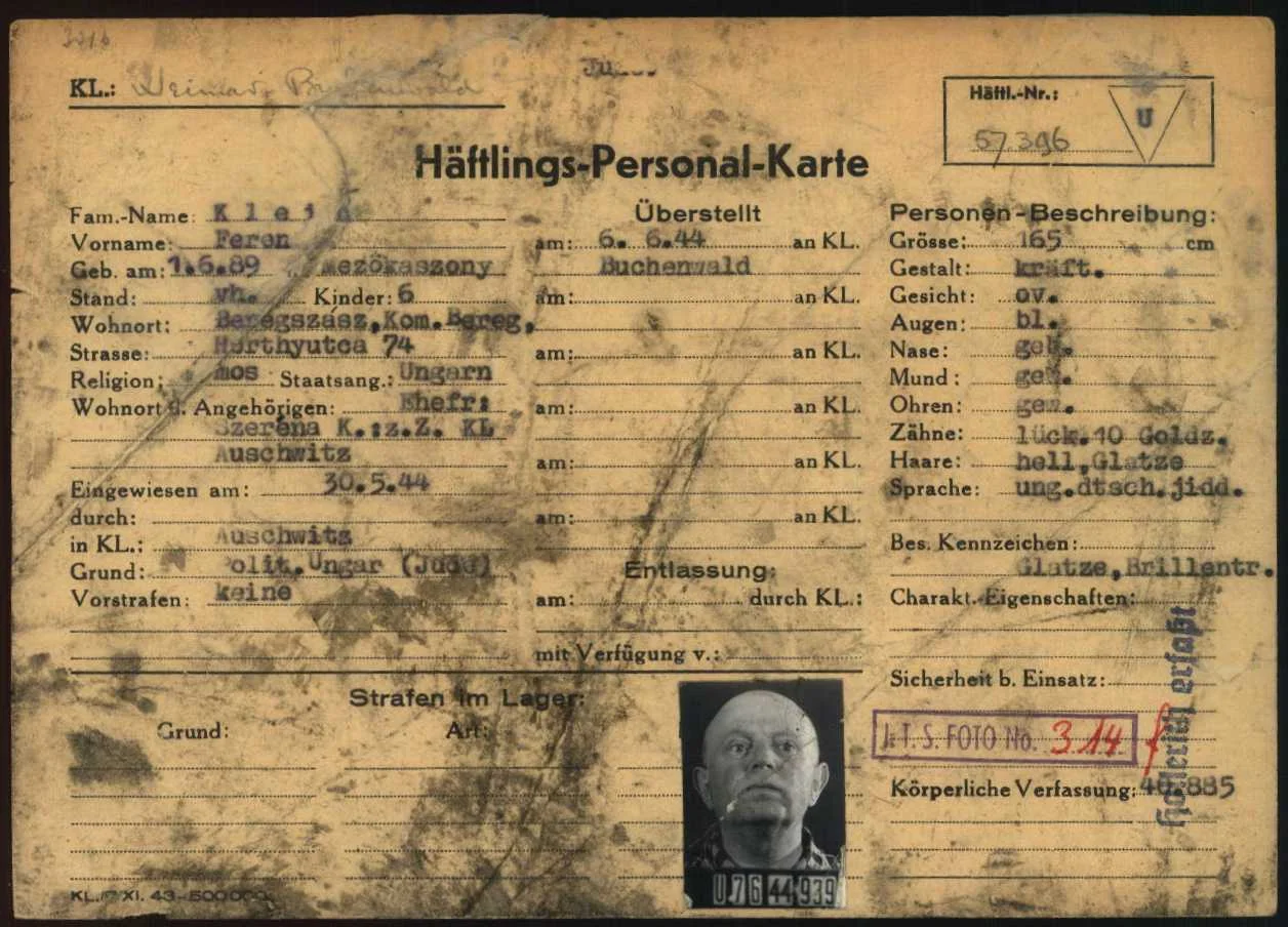 Ferenc Klein