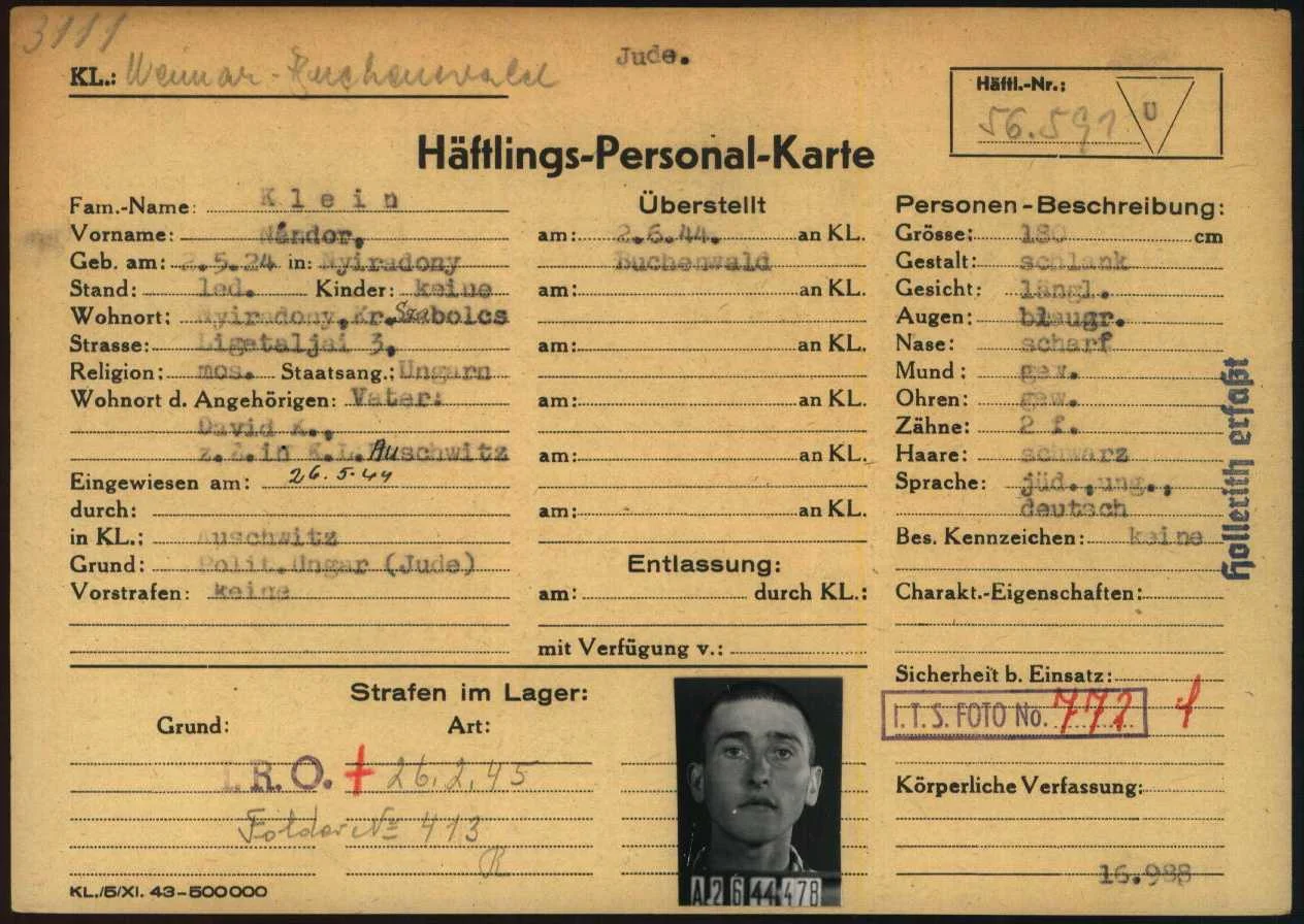 Nandor Klein