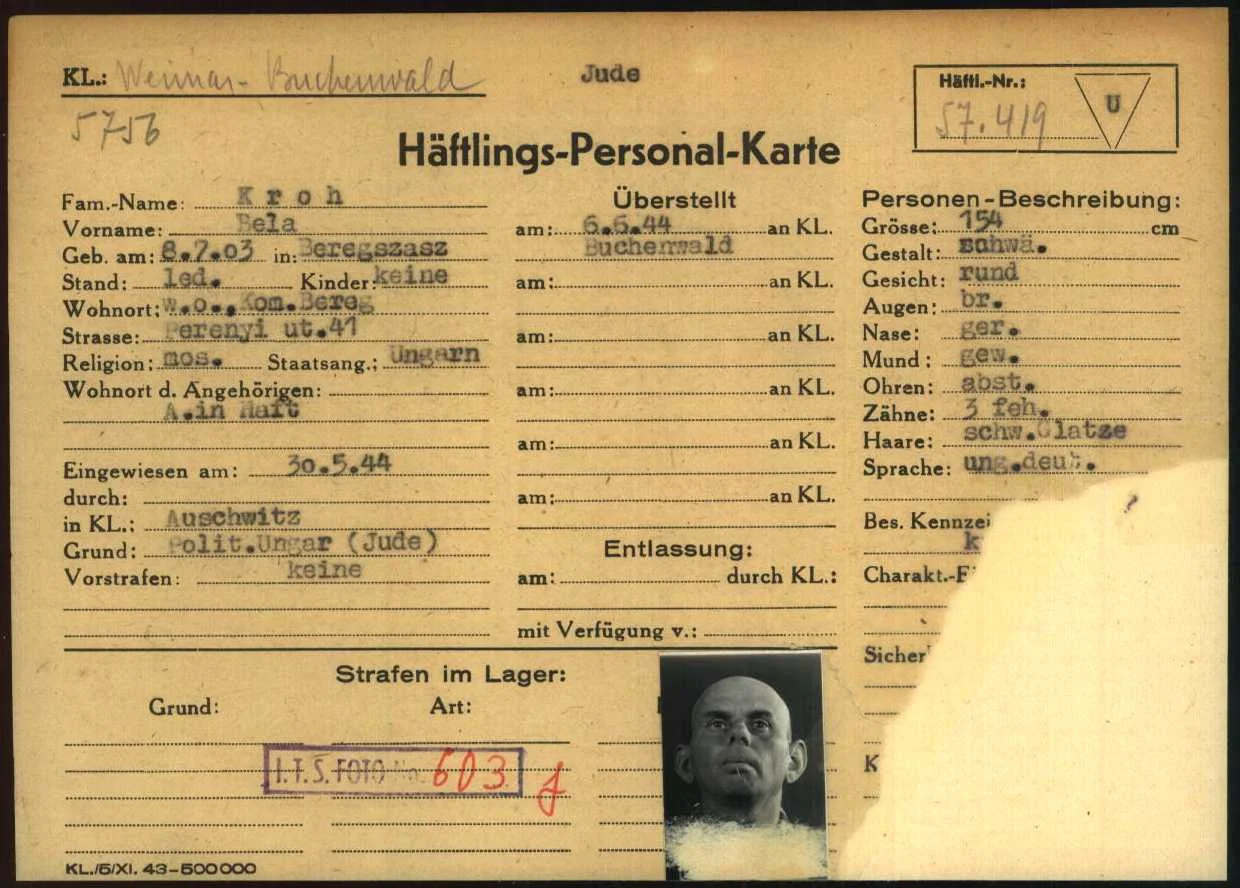 Béla Króh
