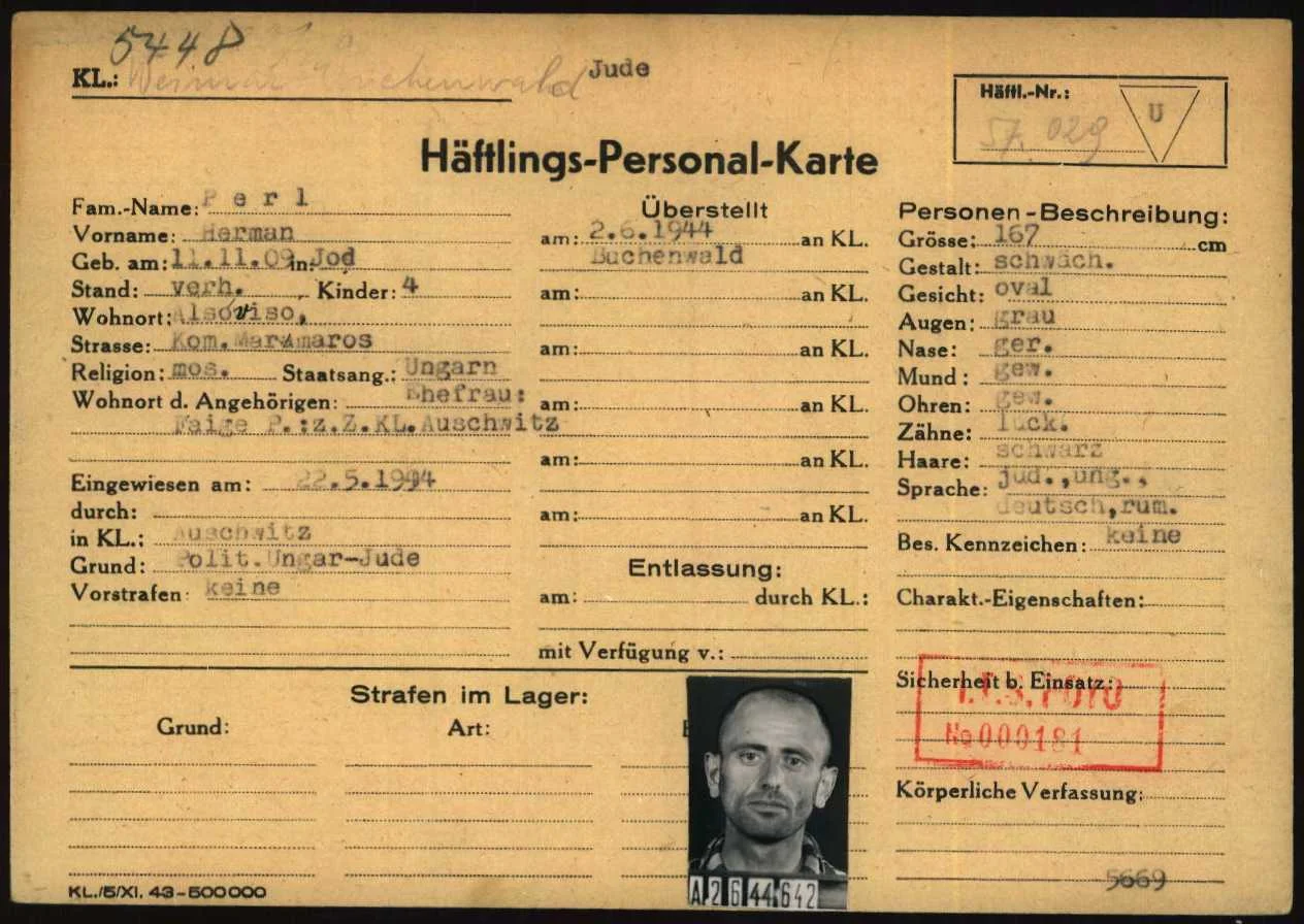 Herman Perl